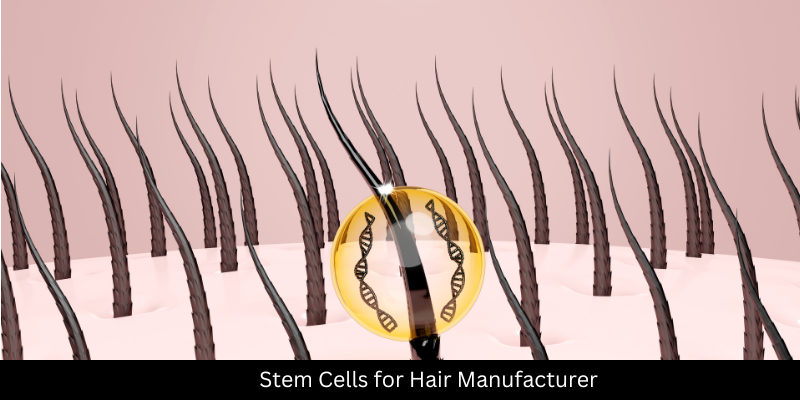 Stem Cells for Hair Manufacturer